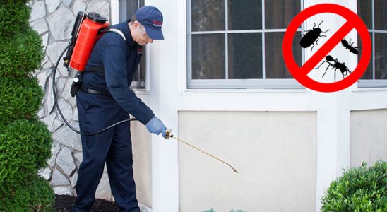 Akçaabat Gümüşkurt İlaçlama böcek ilaçlama ve haşere kontrolü — ilaclama-tr.com